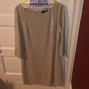 Sparkly Jessica Howard Dress